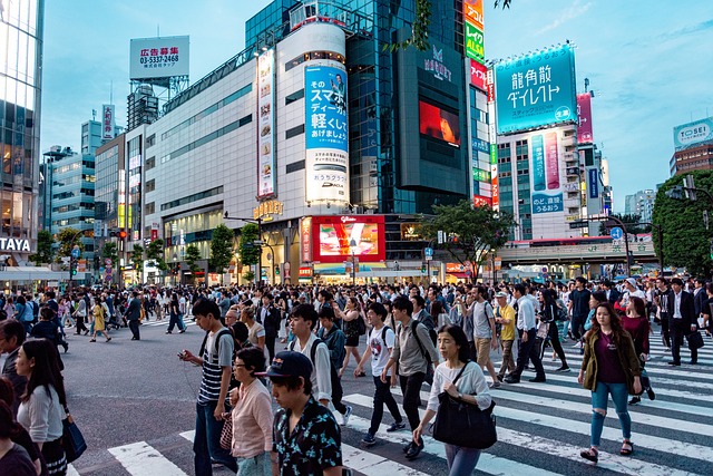 japan travel tips